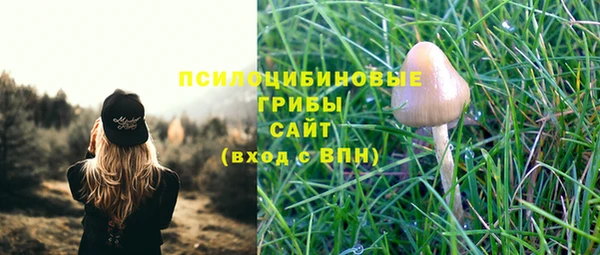 мескалин Алексеевка